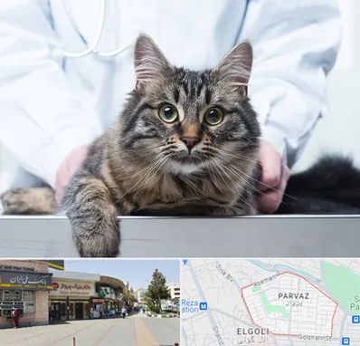 عقیم سازی حیوانات در پرواز تبریز