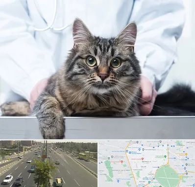 عقیم سازی حیوانات در منطقه 17 تهران 