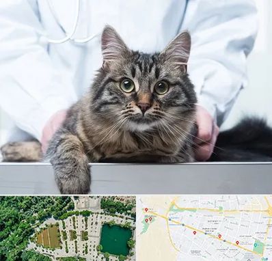 عقیم سازی حیوانات در وکیل آباد مشهد