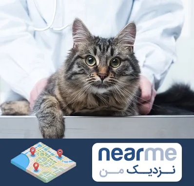 عقیم سازی حیوانات در نزدیک من