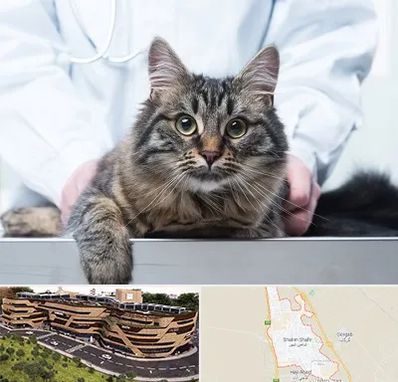 عقیم سازی حیوانات در شاهین شهر