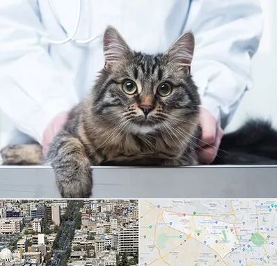 عقیم سازی حیوانات در منطقه 18 تهران 