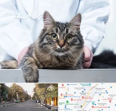 عقیم سازی حیوانات در شریعتی 