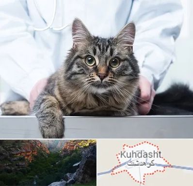 عقیم سازی حیوانات در کوهدشت