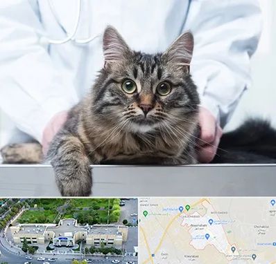 عقیم سازی حیوانات در نسیم شهر