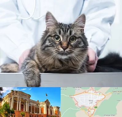 عقیم سازی حیوانات در خوی