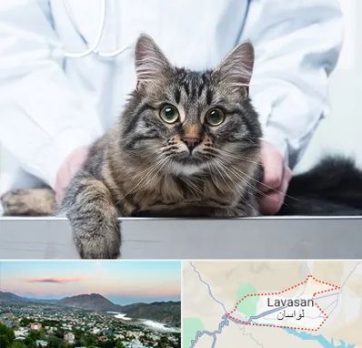 عقیم سازی حیوانات در لواسان