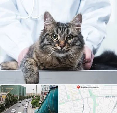 عقیم سازی حیوانات در بلوار فرحزادی