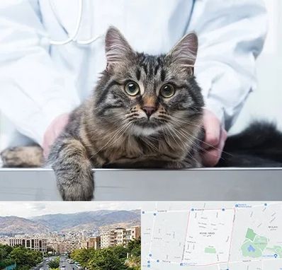 عقیم سازی حیوانات در خانی آباد