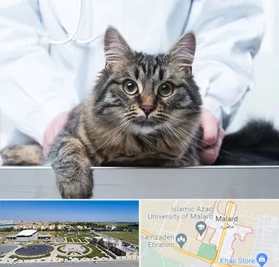 عقیم سازی حیوانات در ملارد