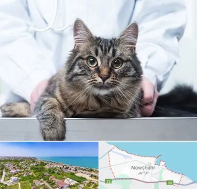 عقیم سازی حیوانات در نوشهر
