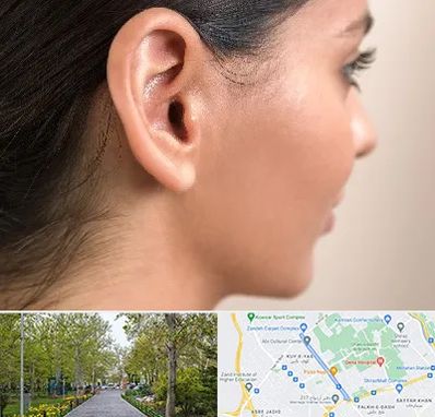 عمل گوش بل در قدوسی غربی شیراز