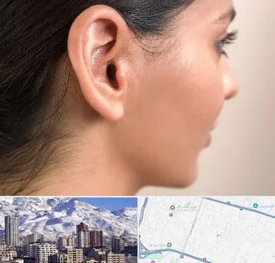 عمل گوش بل در ازگل