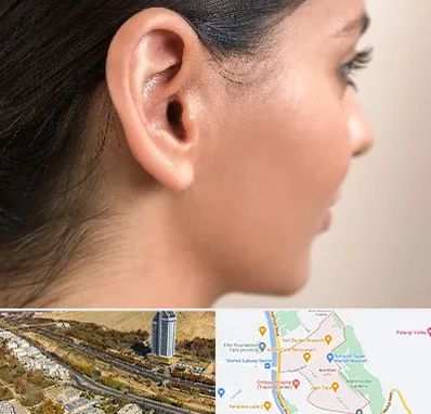 عمل گوش بل در خیابان نیایش شیراز