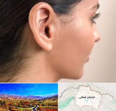 عمل گوش بل در خراسان شمالی