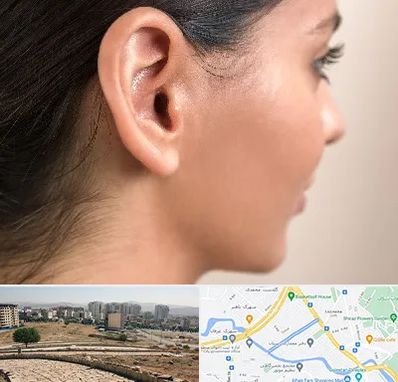 عمل گوش بل در کوی وحدت شیراز