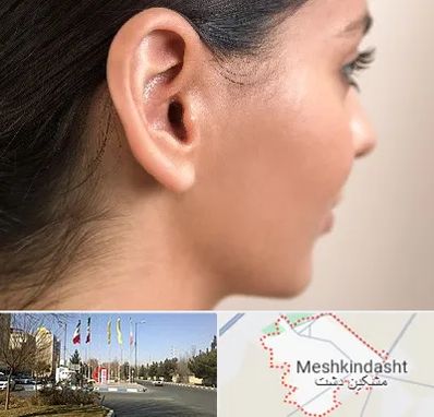 عمل گوش بل در مشکین دشت