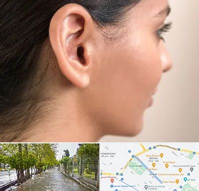 عمل گوش بل در خیابان ارم شیراز