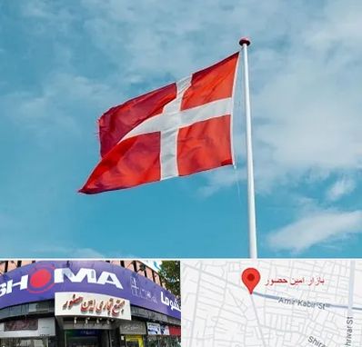 آموزشگاه زبان دانمارکی در امین حضور