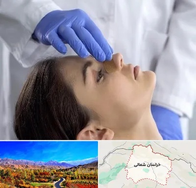 عمل بینی عروسکی در خراسان شمالی