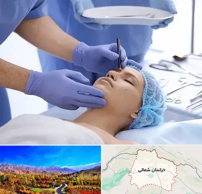 عمل بینی طبیعی در خراسان شمالی