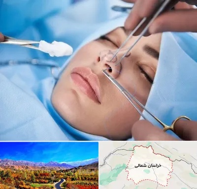 عمل ترمیمی بینی در خراسان شمالی