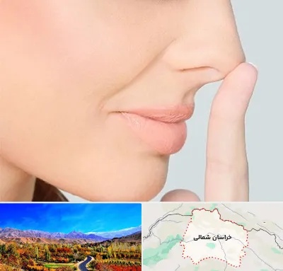 عمل تیپ پلاستی بینی در خراسان شمالی