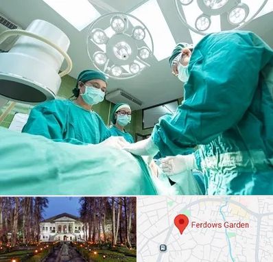 عمل تخلیه سینه در باغ فردوس