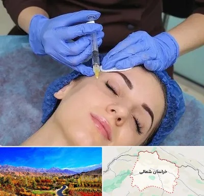 تزریق پروفایلو در خراسان شمالی