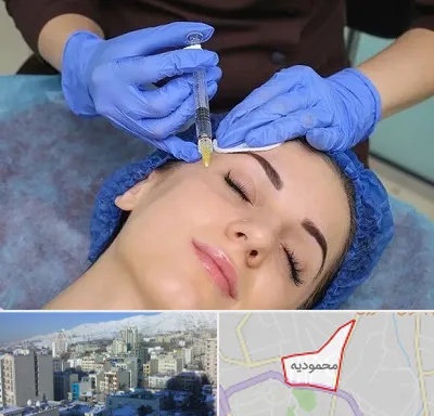تزریق پروفایلو در محمودیه