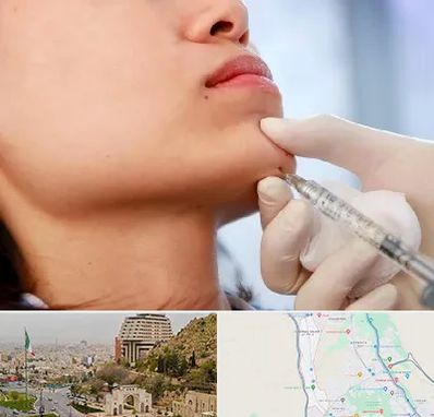 زاویه سازی صورت در فرهنگ شهر شیراز 