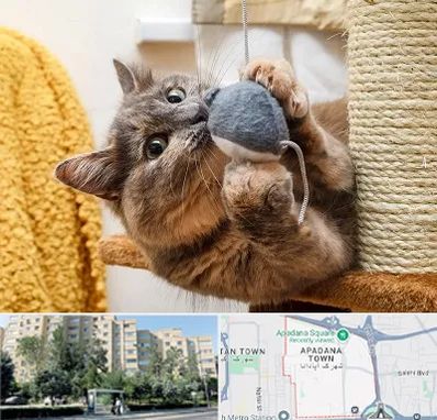 خرید اسباب بازی گربه در آپادانا