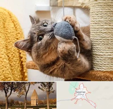 خرید اسباب بازی گربه در تویسرکان