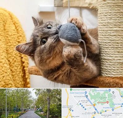 خرید اسباب بازی گربه در قدوسی غربی شیراز