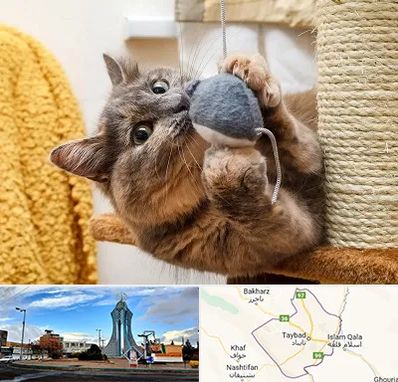 خرید اسباب بازی گربه در تایباد