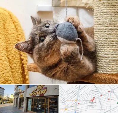 خرید اسباب بازی گربه در عطاران قم