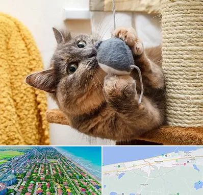 خرید اسباب بازی گربه در فریدونکنار