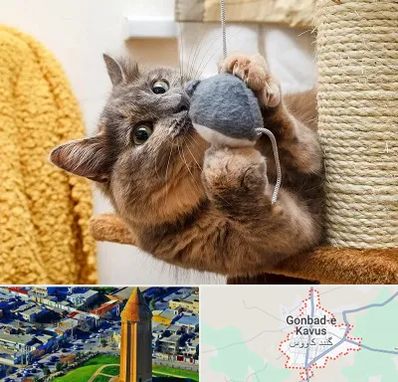 خرید اسباب بازی گربه در گنبد کاووس