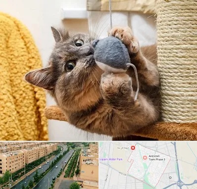 خرید اسباب بازی گربه در فاز سه اندیشه