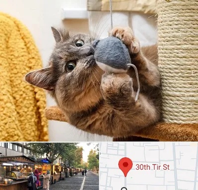 خرید اسباب بازی گربه در سی تیر