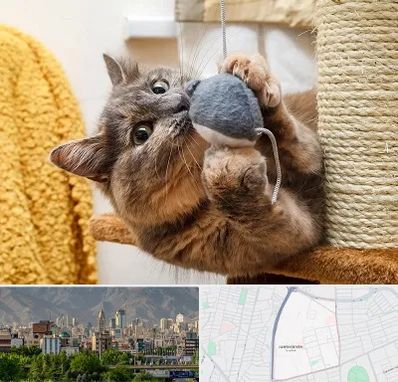 خرید اسباب بازی گربه در جمشیدیه