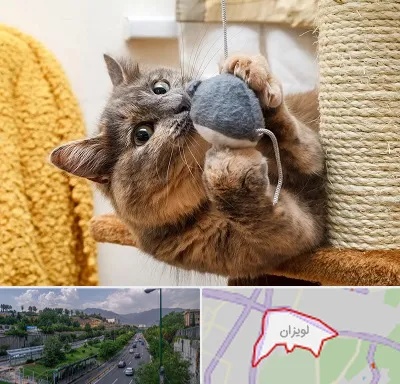 خرید اسباب بازی گربه در لویزان