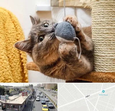 خرید اسباب بازی گربه در خیابان دماوند