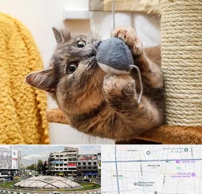 خرید اسباب بازی گربه در مرکز تهران