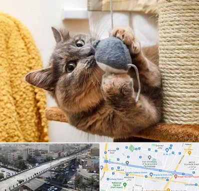 خرید اسباب بازی گربه در فرجام