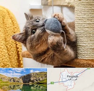 خرید اسباب بازی گربه در فیروزکوه