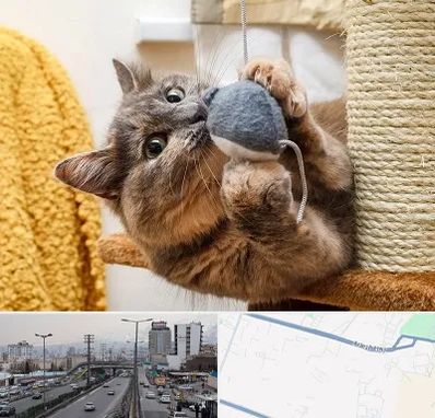 خرید اسباب بازی گربه در بلوار ارتش