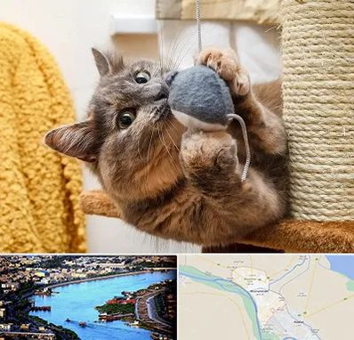 خرید اسباب بازی گربه در خرمشهر