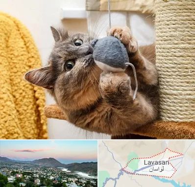 خرید اسباب بازی گربه در لواسان