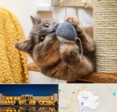خرید اسباب بازی گربه در برازجان